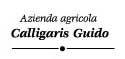 guido